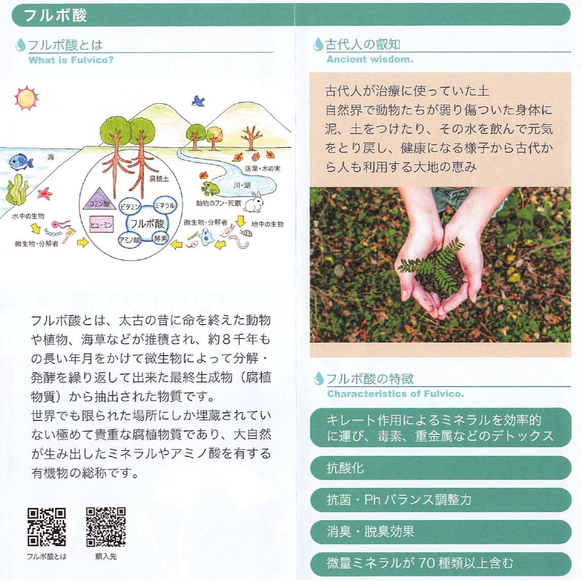 fulvico± フルビコプラスマイナス