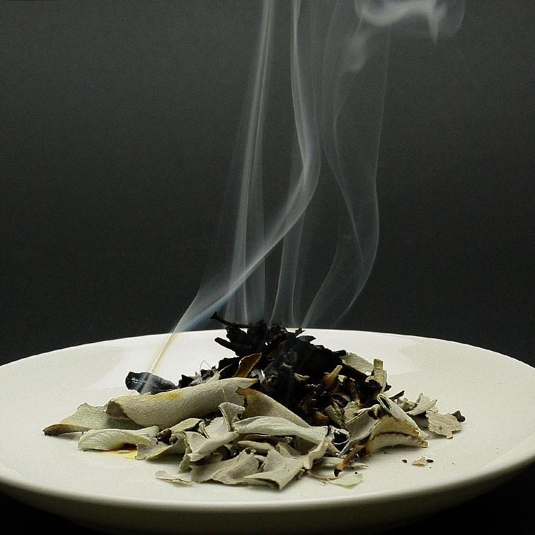 【浄化】ホワイトセージ (無農薬・枝付き・選別済)